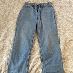 Everlane Cheeky Straight Jean